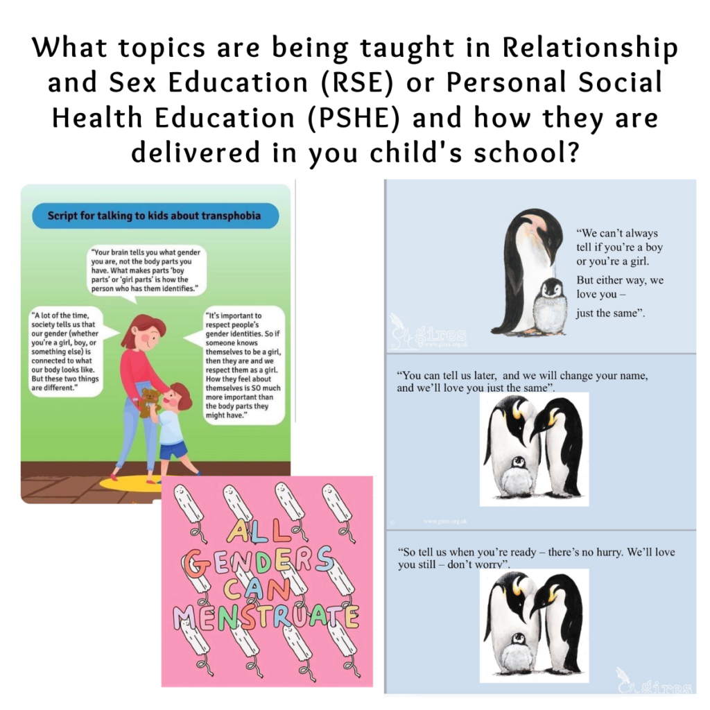 Letter Template: to Enquire what topics are being taught in Relationship and Sex Education (RSE) or Personal Social Health Education (PSHE) and how they are delivered.