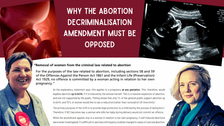 Why the Abortion Decriminalisation Amendment Must Be Opposed